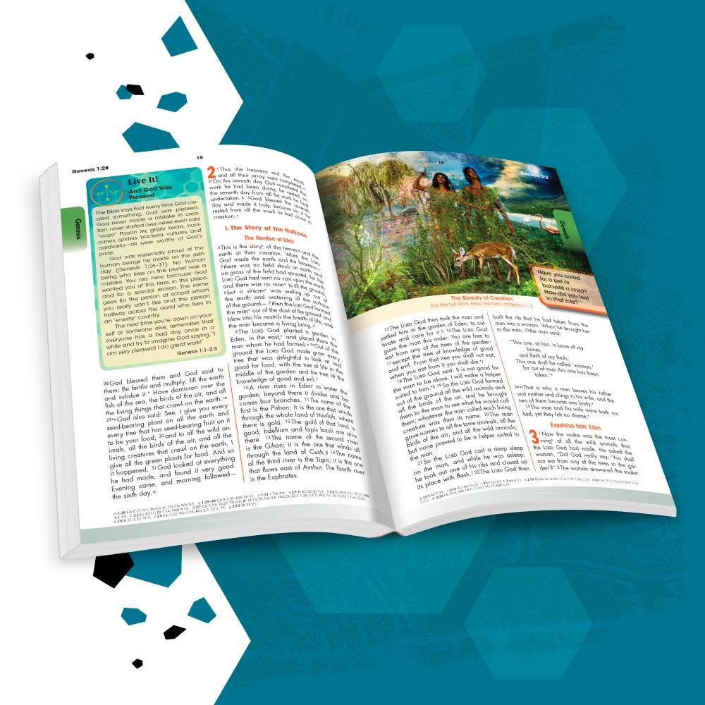 Breakthrough Bible for Young Catholics