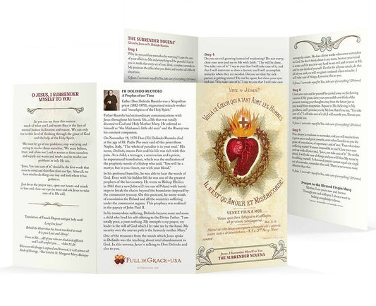 Surrender Novena Trifold Holy Card